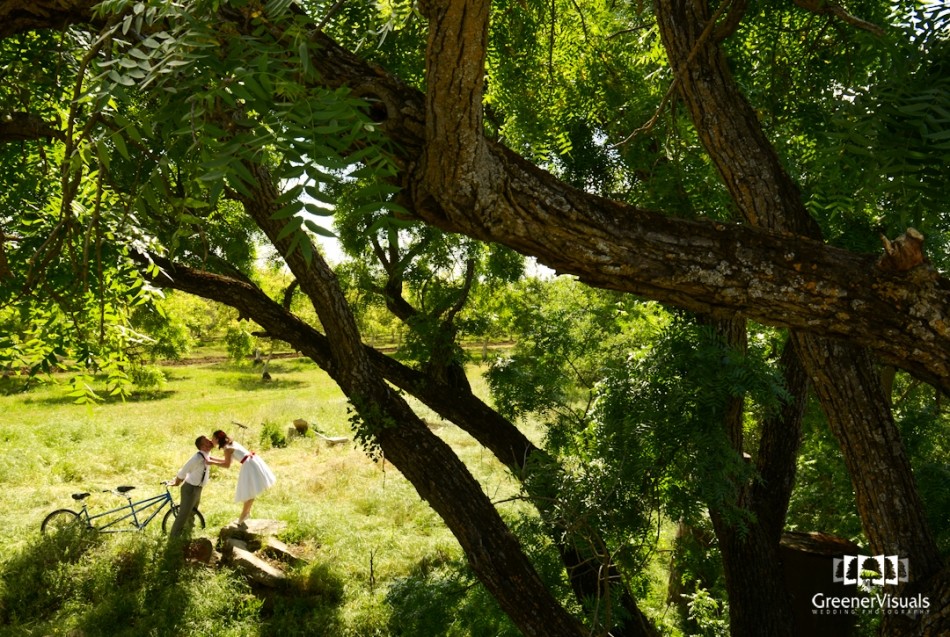 wedding-couple-with-bicycle-kiss-under-big-trees-Best-of-2014-Wedding