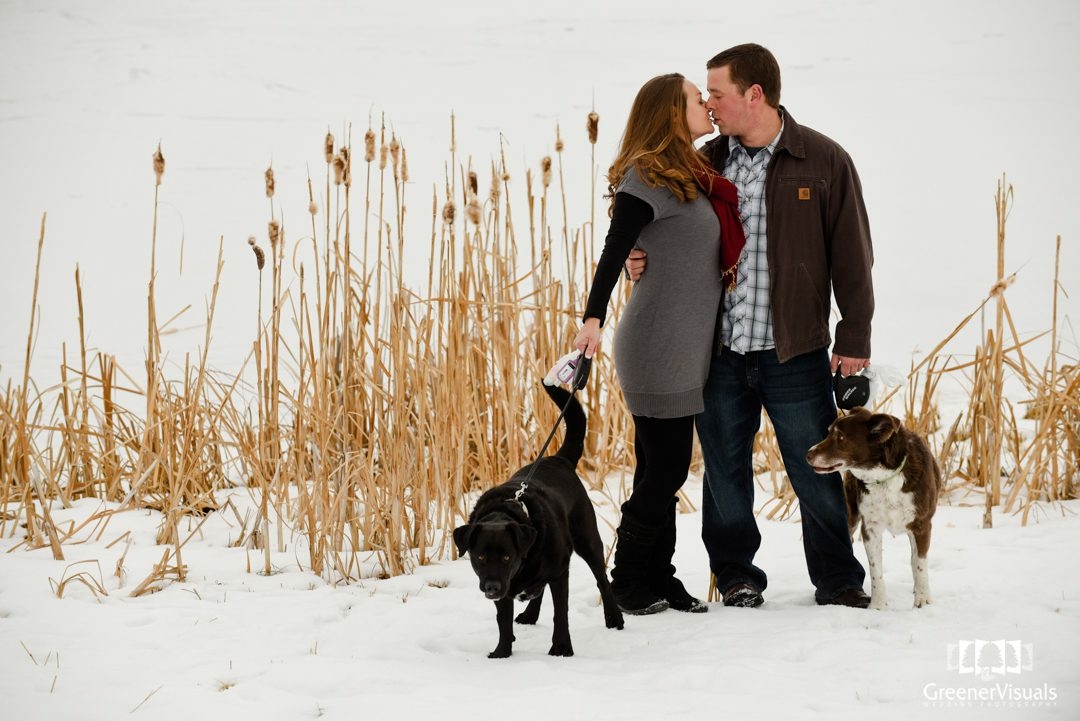 couple-kissing-near-cattails-winter-engagement-photo-session-Bozeman