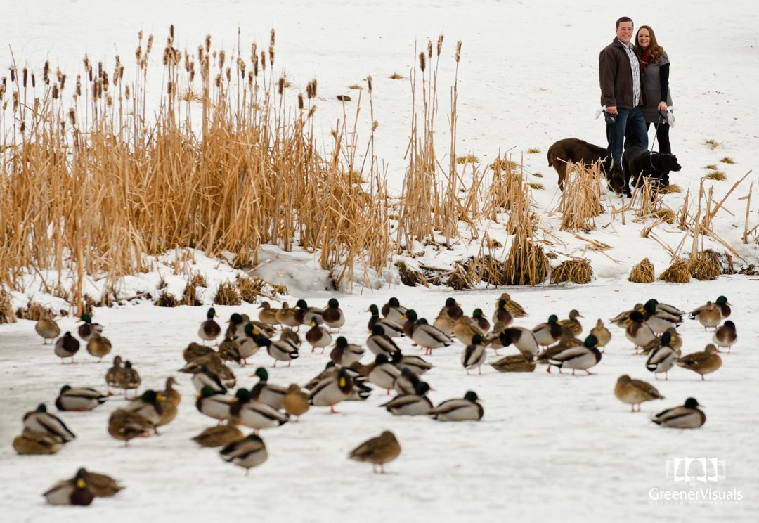 ducks-on-frozen-pond-with-engaged-couple-during-engagement-photo-session-Bozeman