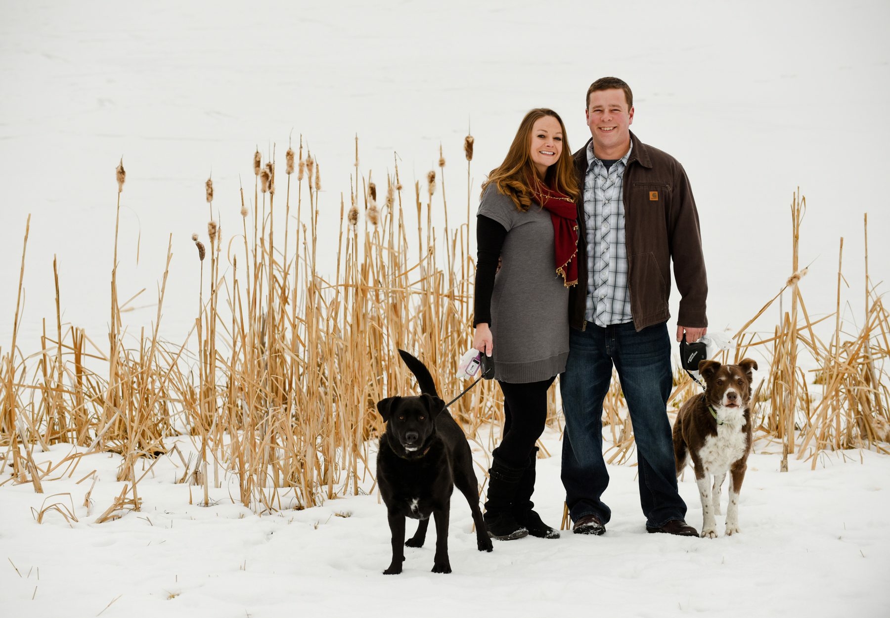 engaged-couple-with-dogs-on-cattail-pond-during-engagement-photo-session-Bozeman