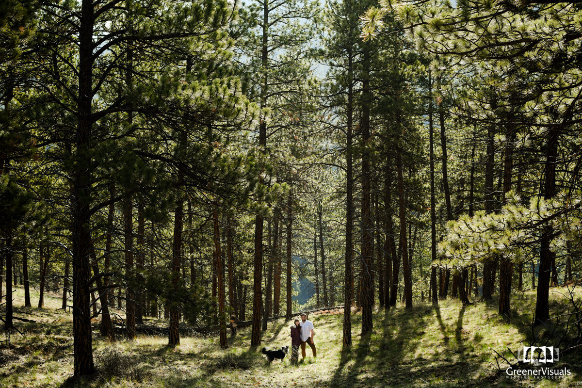 engaged-couple-in-golden-forest-light-Helena-Montana-Engagement-Portraits