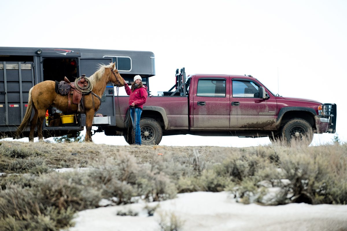 cowboy-couple-unload-horse-trailer-during-Horseback-Riding-Engagement-Portraits