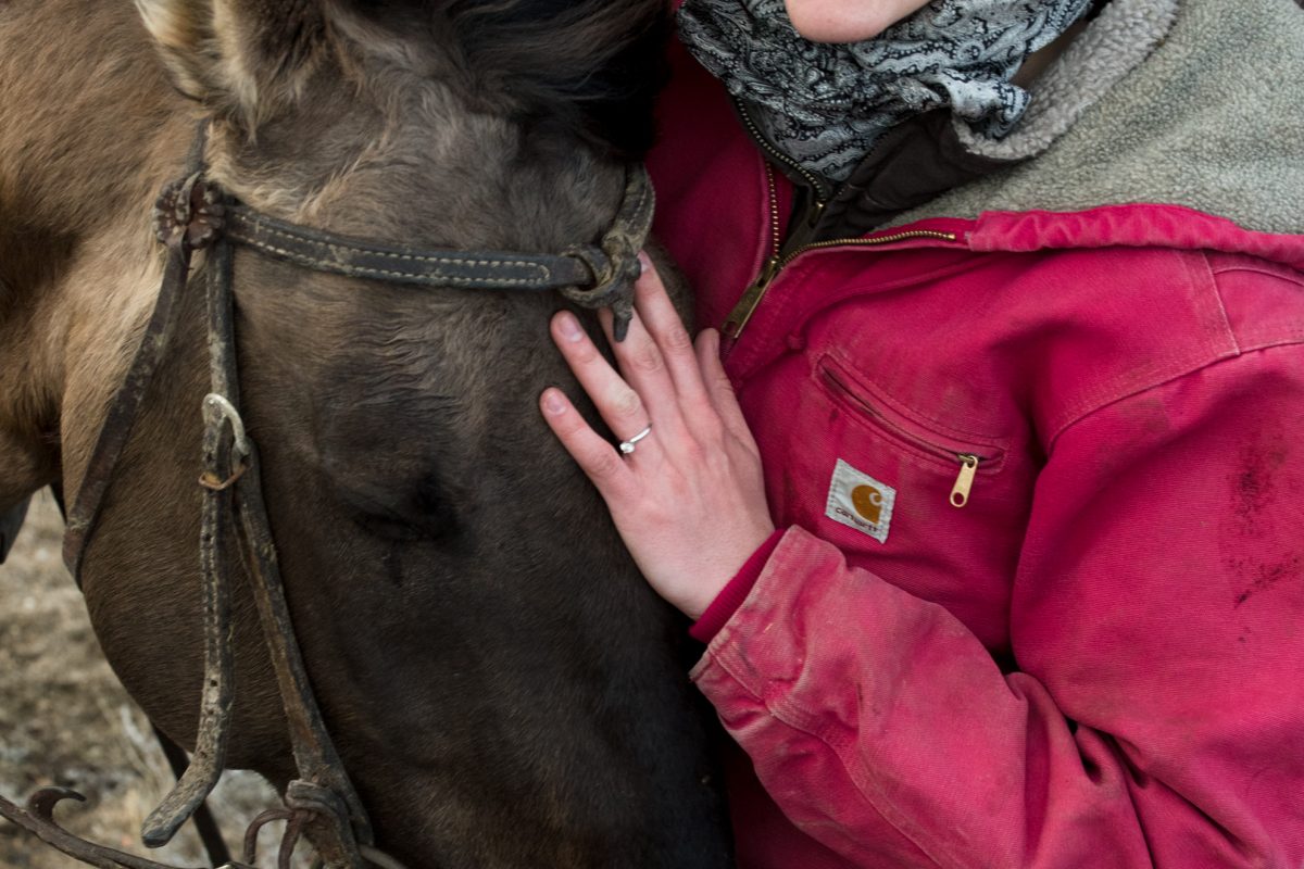 engaged-bride-hugs-her-horse-during-Horseback-Riding-Engagement-Portraits