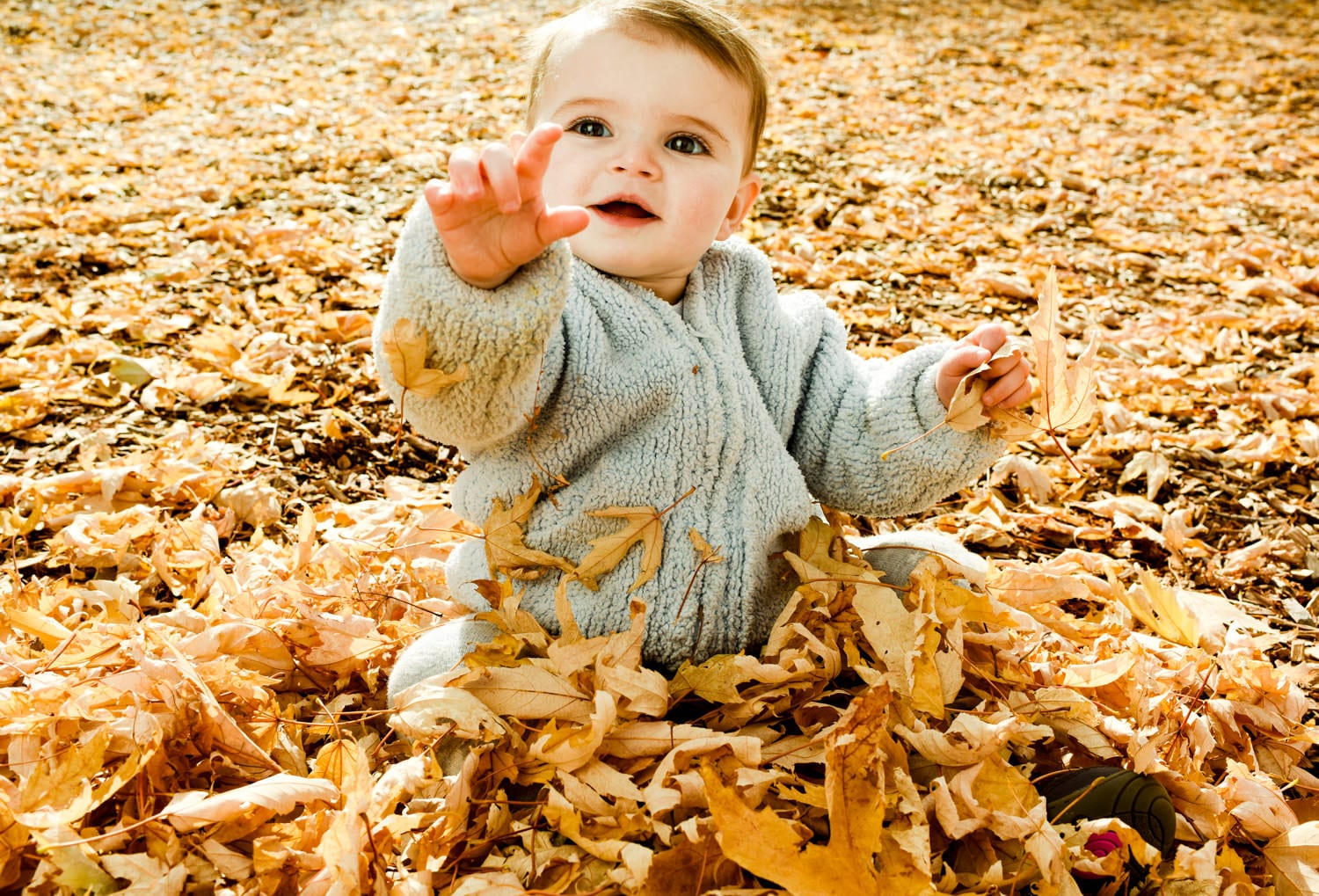 Bozeman Portrait Photography Baby Play in Leaves