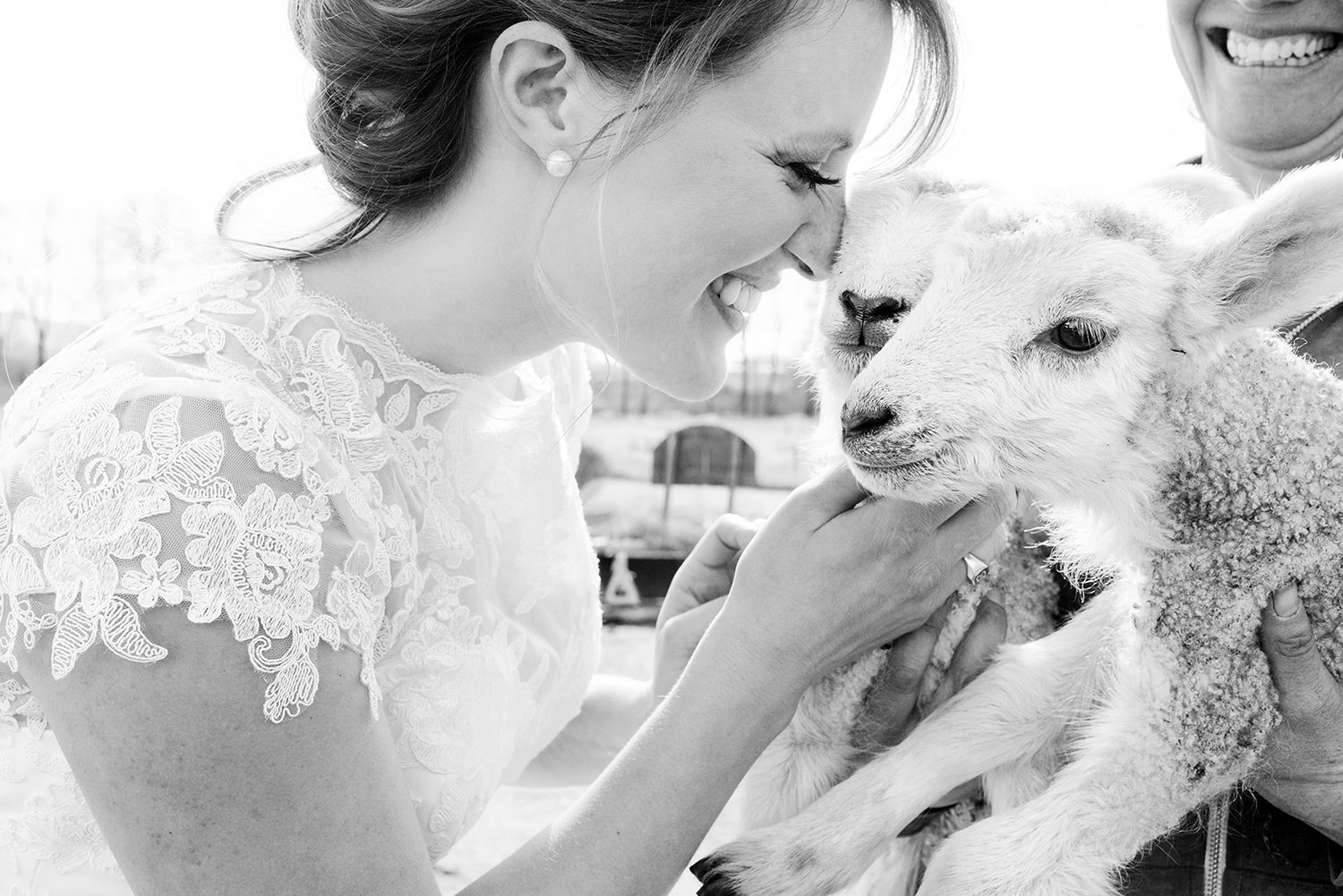 Bozeman Wedding Photographer smiling bride with lambs