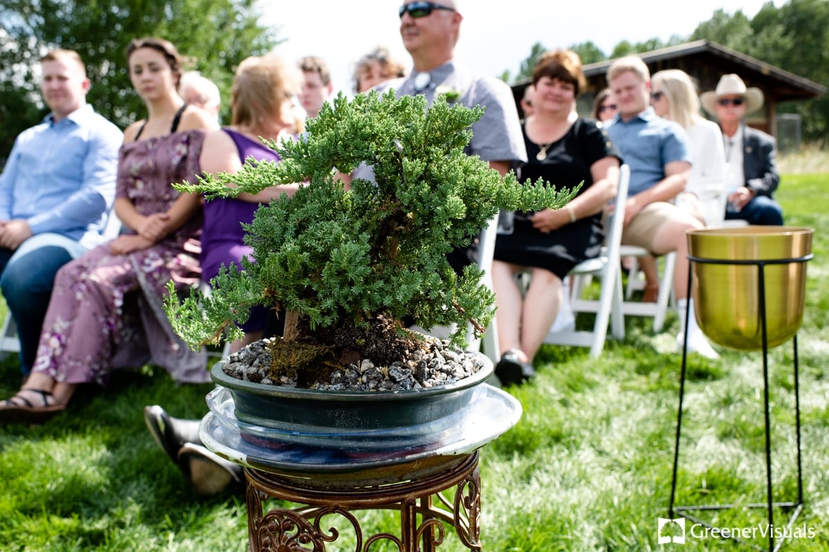 bonsai-tree-at-wedding-ceremony-during-Countryside-Bozeman-Montana-Wedding