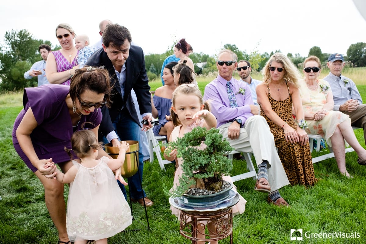 wedding-guests-blessing-bonsai-tree-during-ceremony