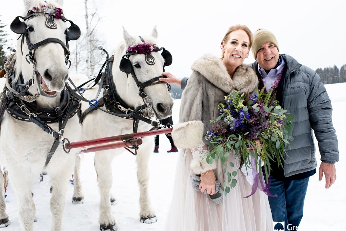 horse-drawn-sleigh-bride-and-groom-2019-Best-of-Wedding-Photography