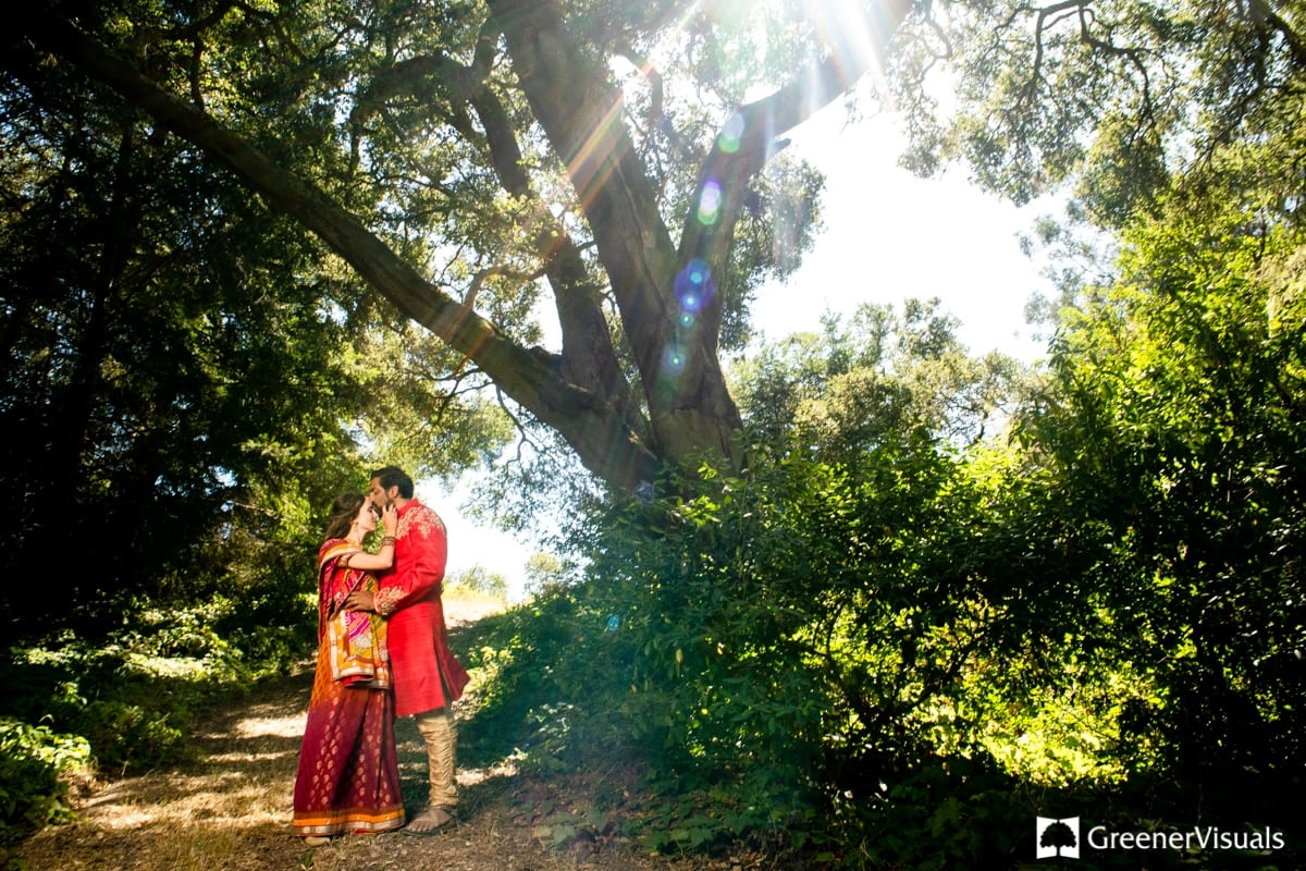 wedding-couple-embrace-in-redwood-grove-2019-Best-of-Wedding-Photography