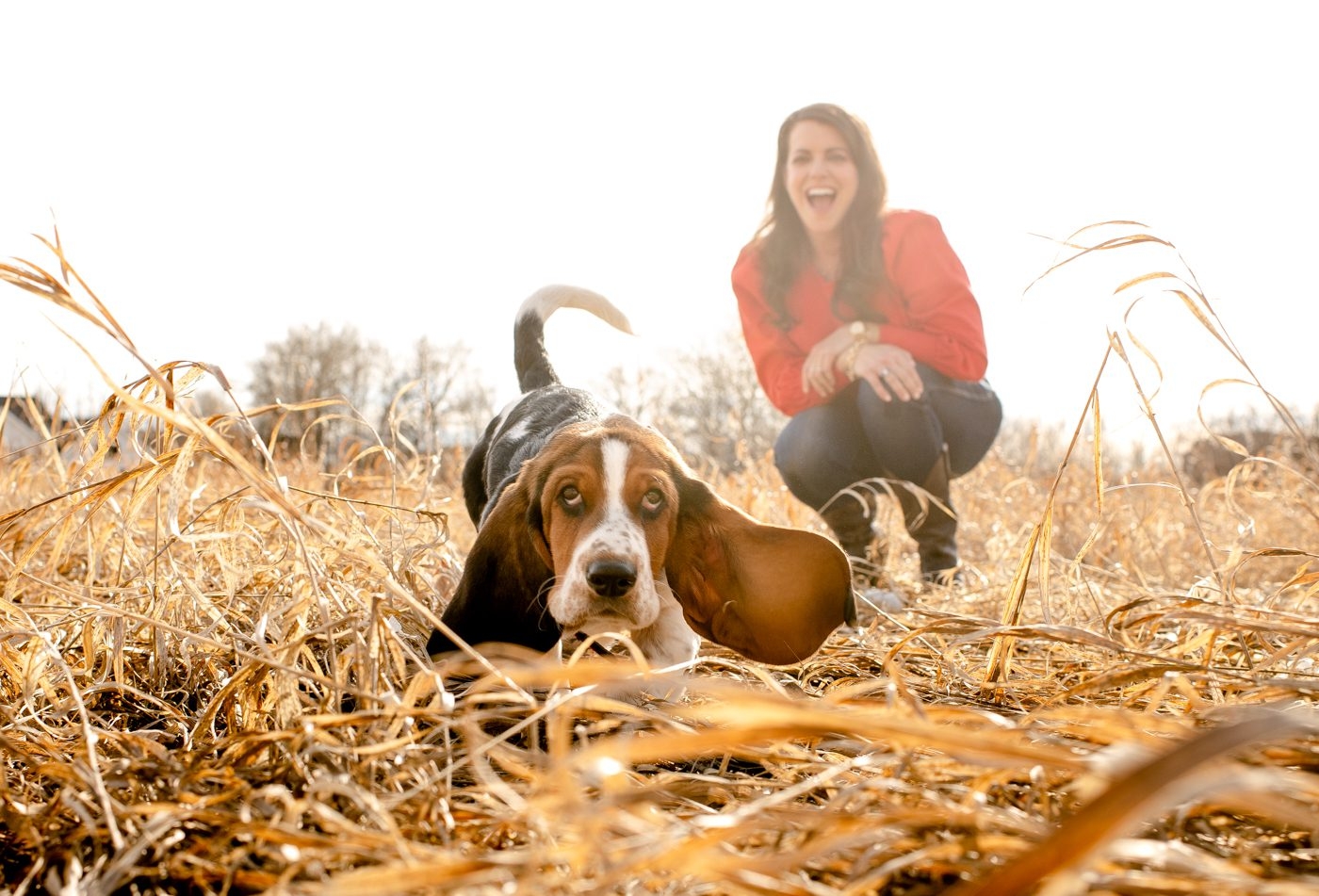 basset-hound-puppy-running-with-laughing-woman