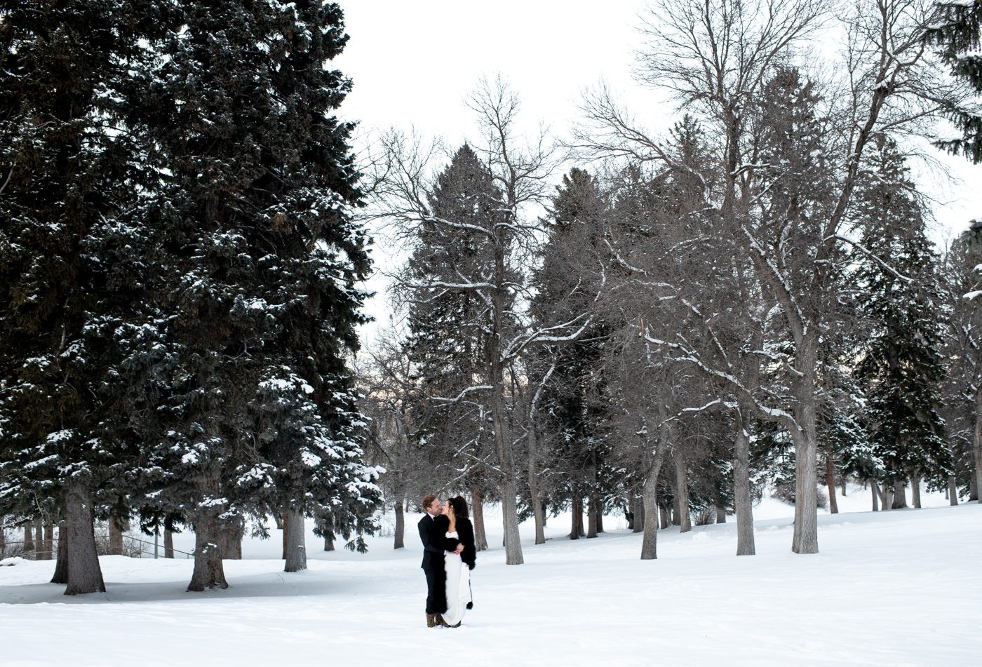 Wedding-Couple-in-Snowy-trees-Bozeman