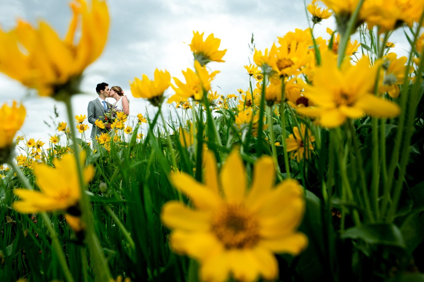 Newlyweds-surrounded-by-yellow-flowers