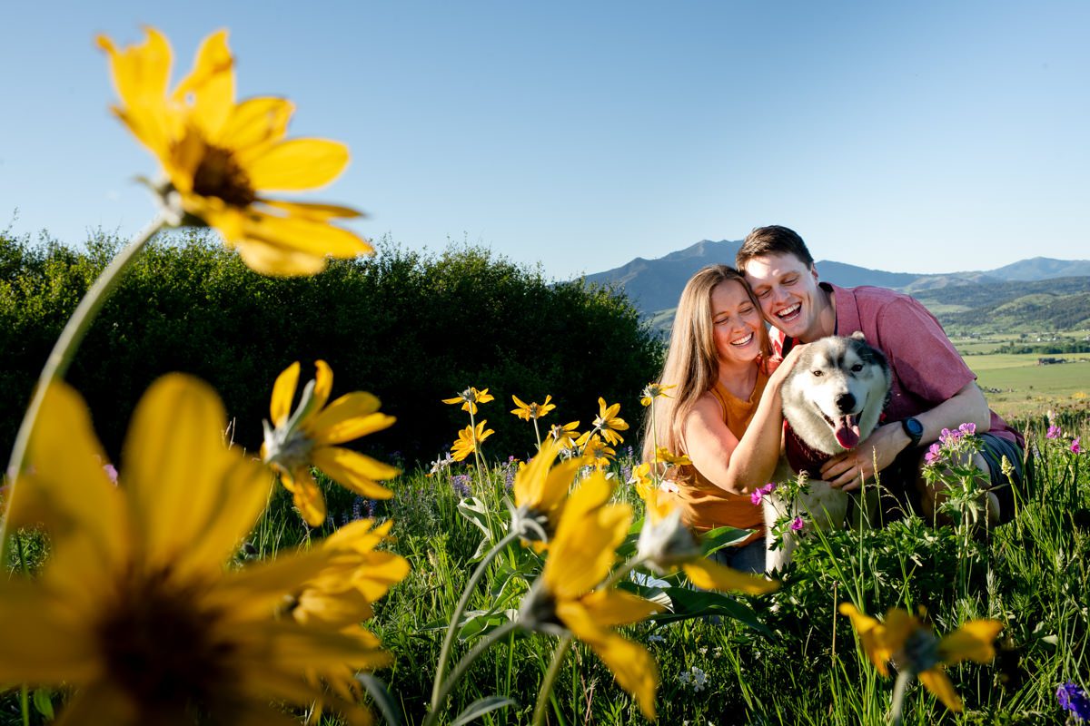 couple-with-dog-in-yellow-flowers-Mount-Ellis-Trailhead-engagement-portraits